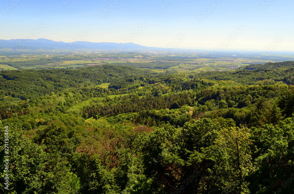 Obraz premium Blick vom Neunlindenturm im Liliental