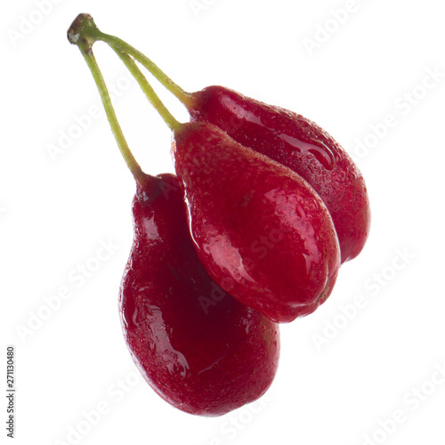 branch of fresh red cornels isolated on white background photo