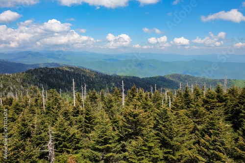 Clingman's Dome View