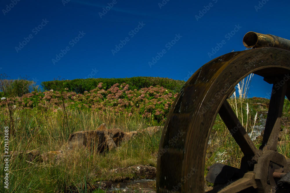 Fototapeta premium old wagon wheel