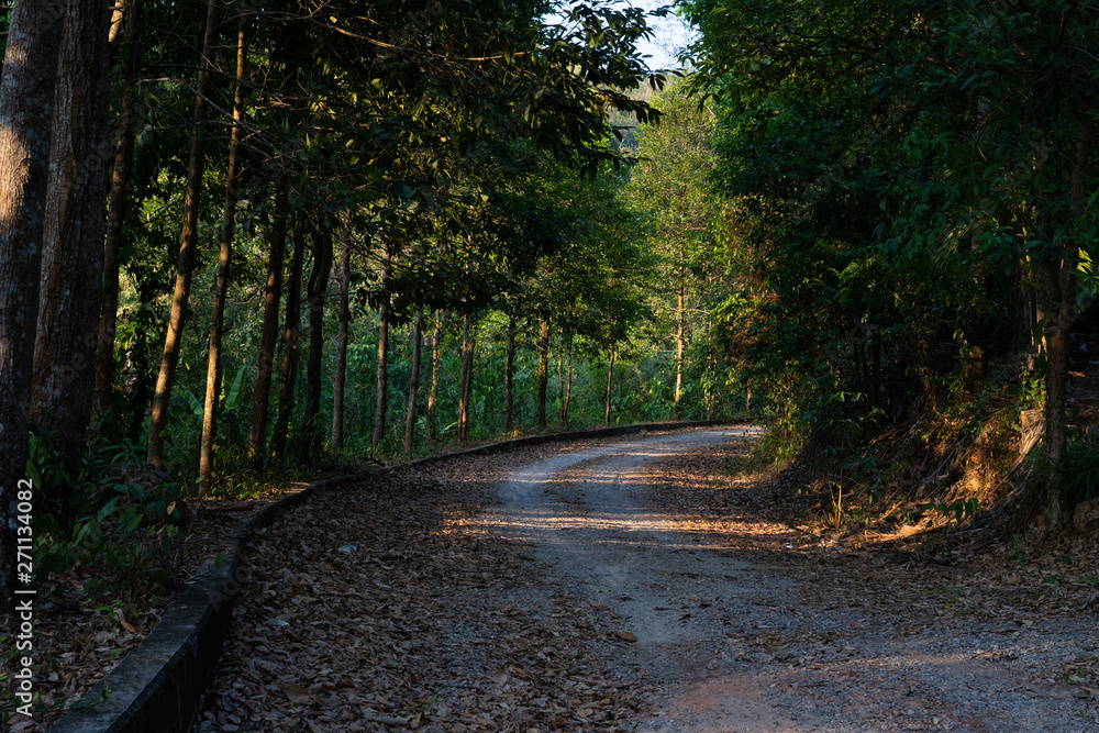 countryside road way countryside road way