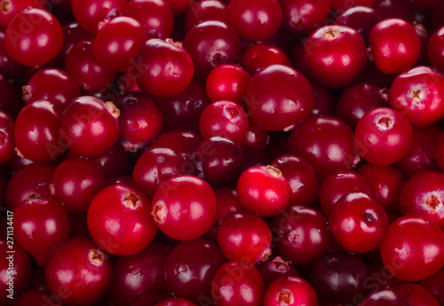 Obraz na płótnie fresh heap of cranberries background w salonie