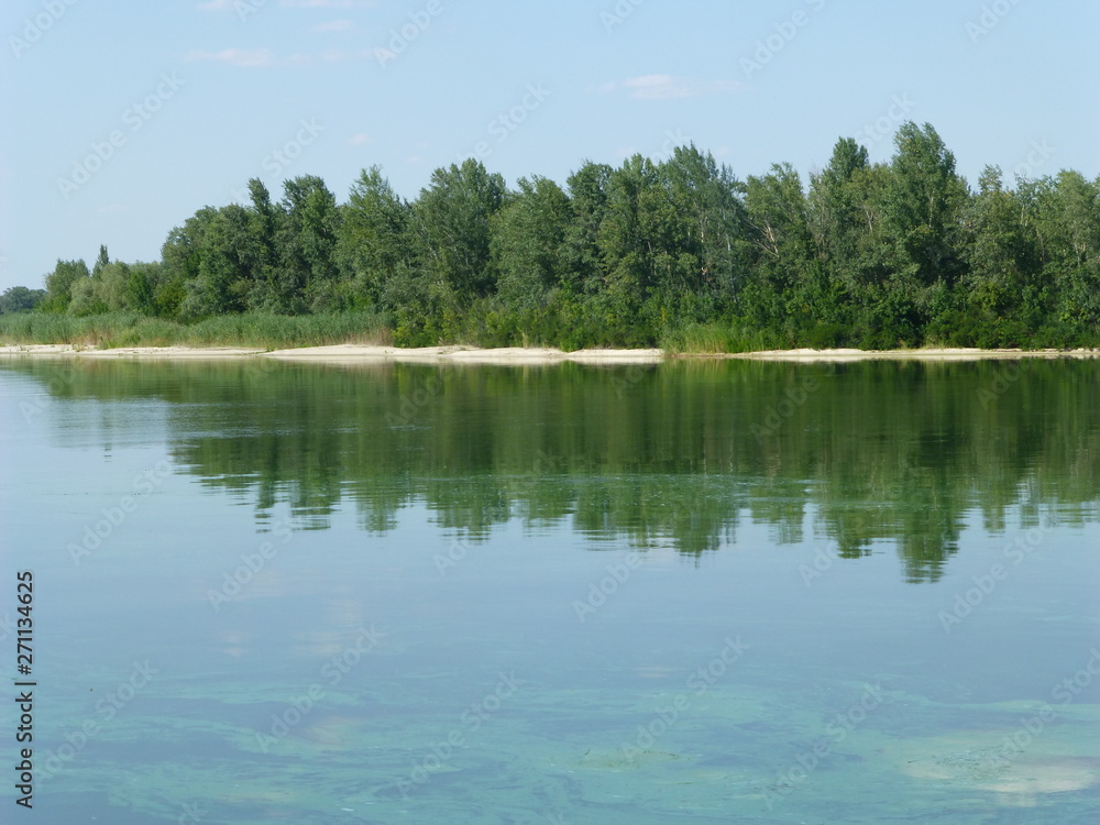 lake in forest lake in forest