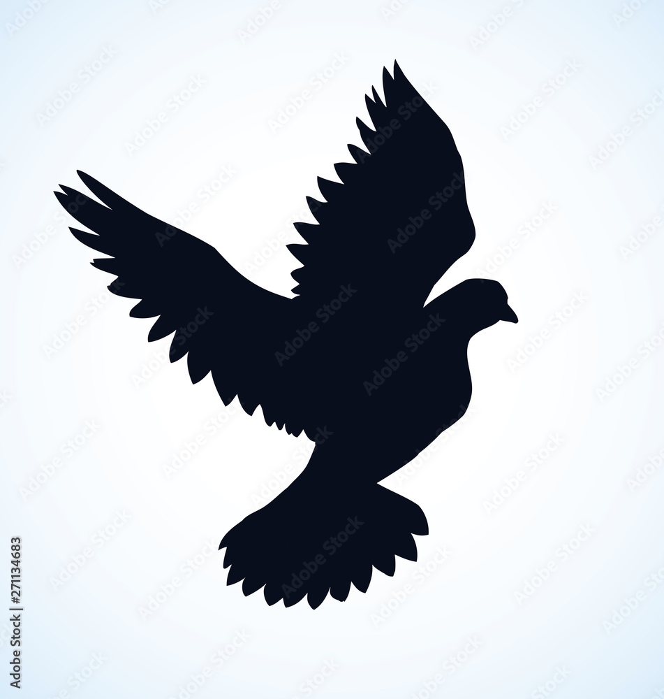Fototapeta premium Vector illustration Flying dove