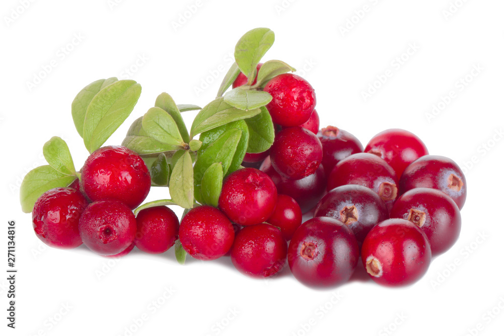 heap of cranberries and cowberries isolated on white background