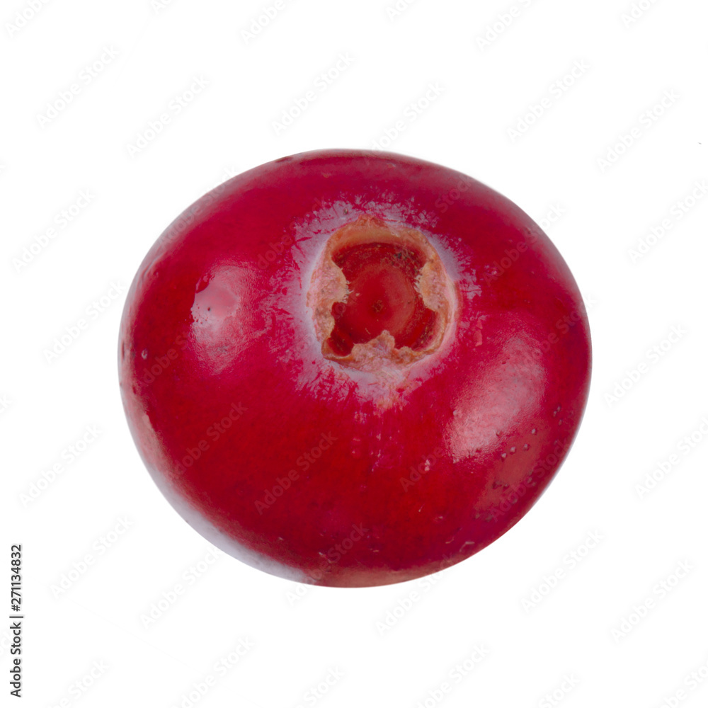 single red moorberry isolated on white background single red moorberry isolated on white background
