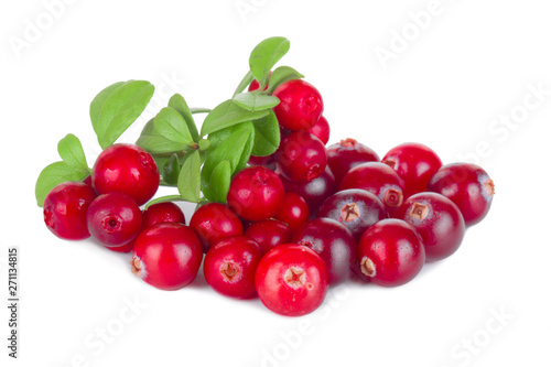 heap of cranberries and cowberries isolated on white background photo