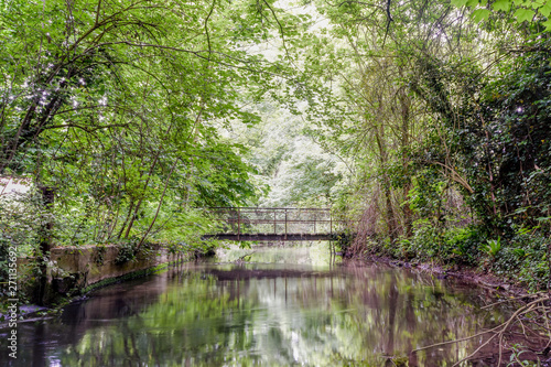 Pont calme