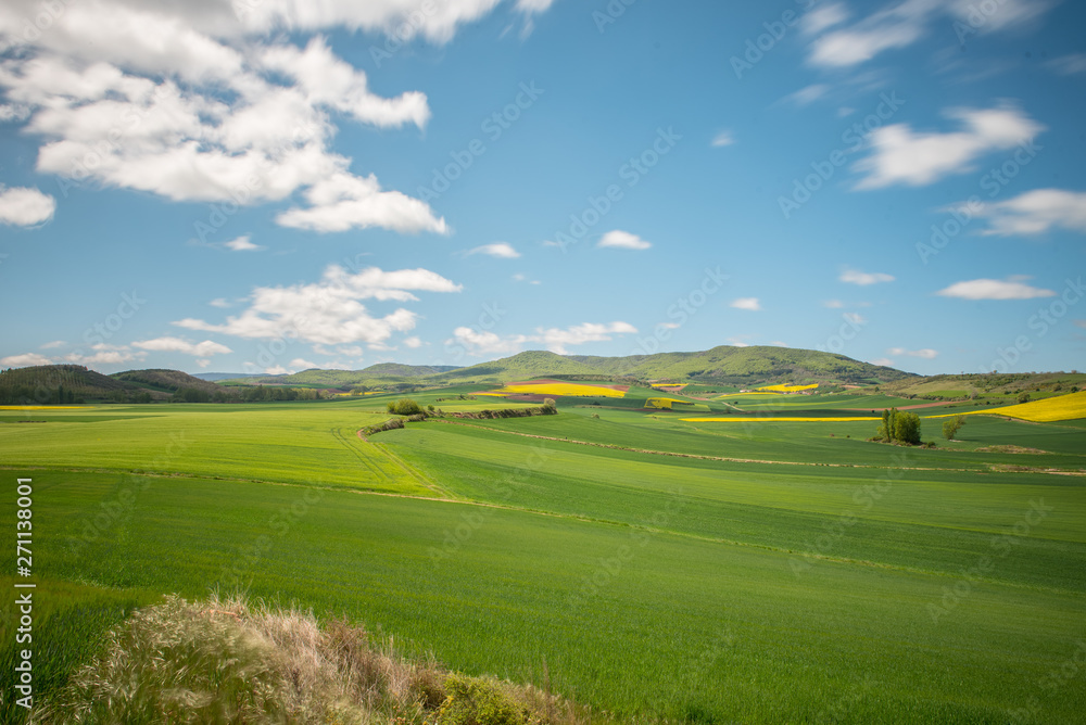 Beautiful agricultural landscape on the Way of St. James, Camino de Santiago between Ciruena and Santo Domingo de la Calzada in La Rioja, Spain