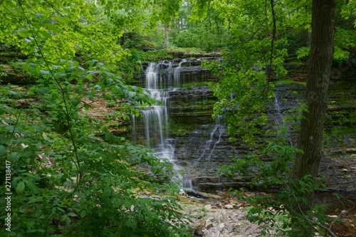forest falls