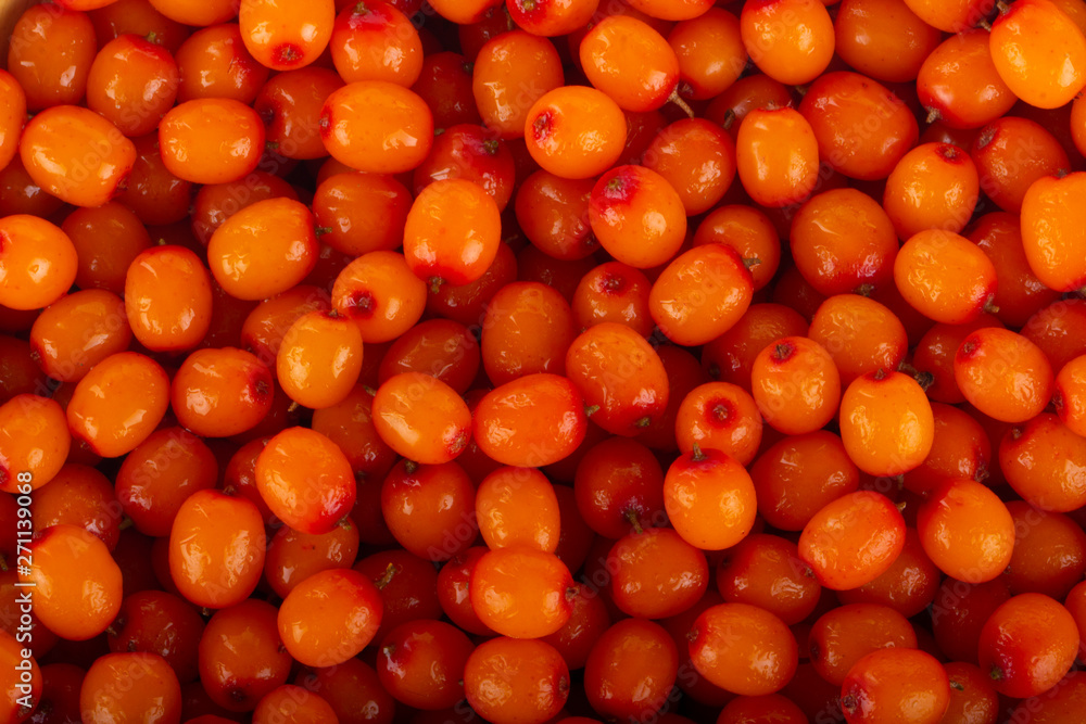 fresh sea backthorn berries background