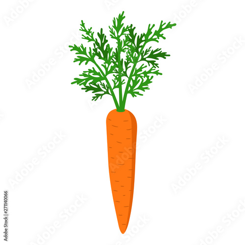 Carrot with leaf. Vector illustration. Isolated.