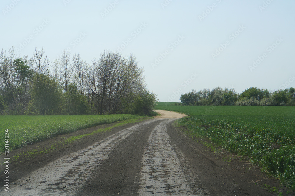 Naklejka premium field road in summer