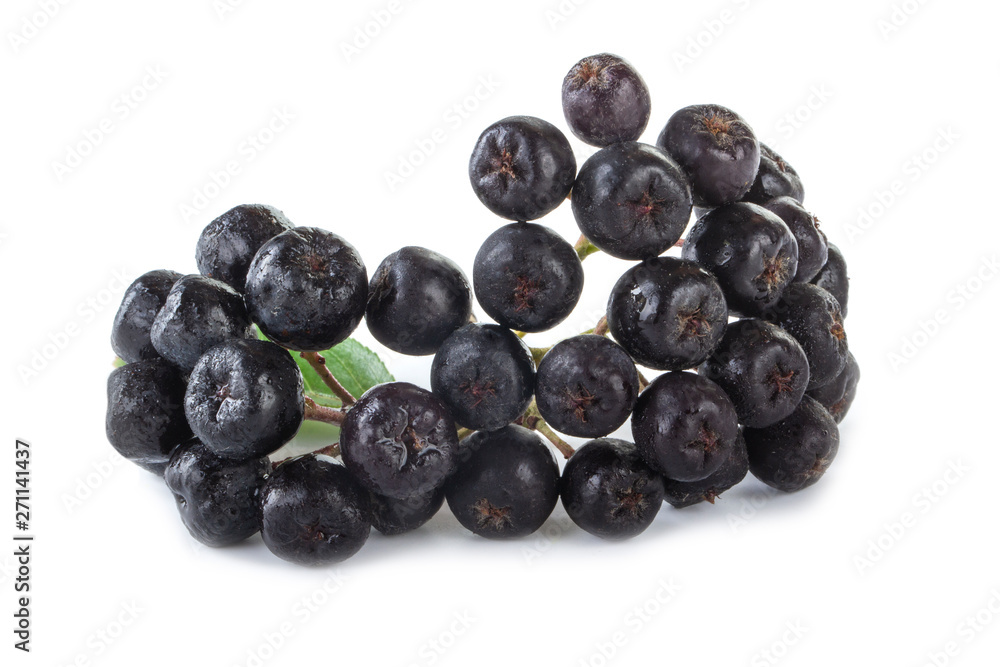 heap of black chokeberry isolated on white background heap of black chokeberry isolated on white background