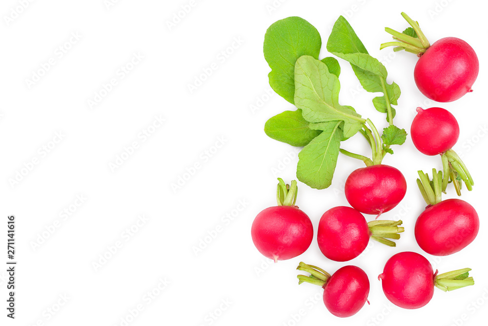 Obraz premium fresh whole radish isolated on white background with copy space for your text. Top view