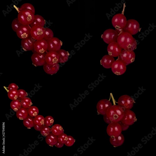 set of bunches of red currant isolated on black