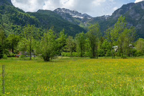 Colorful spring meadow panorama at the Bohinj Lake village Ukanc. Picturesque moning scene in the Triglav National Park  Julian Alps.