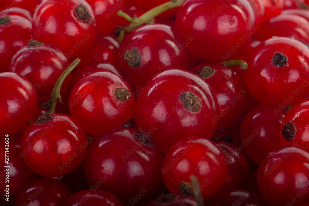 fresh red currants background fresh red currants background