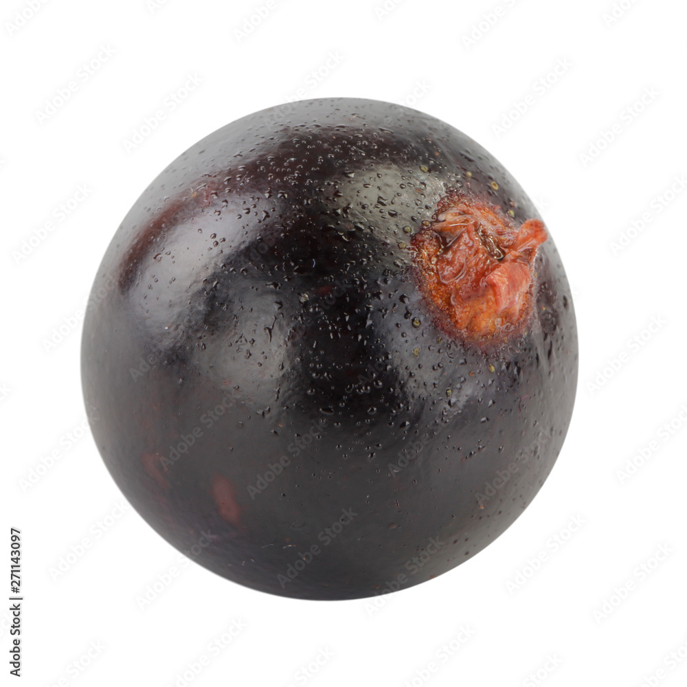 Obraz premium single black currant isolated on white background