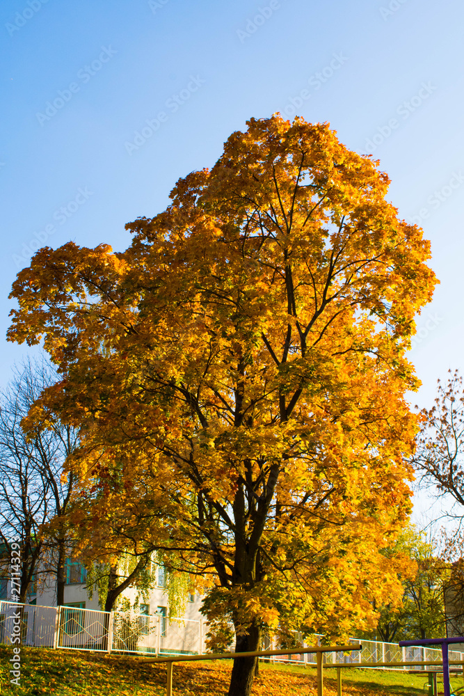 Autumn in Minsk