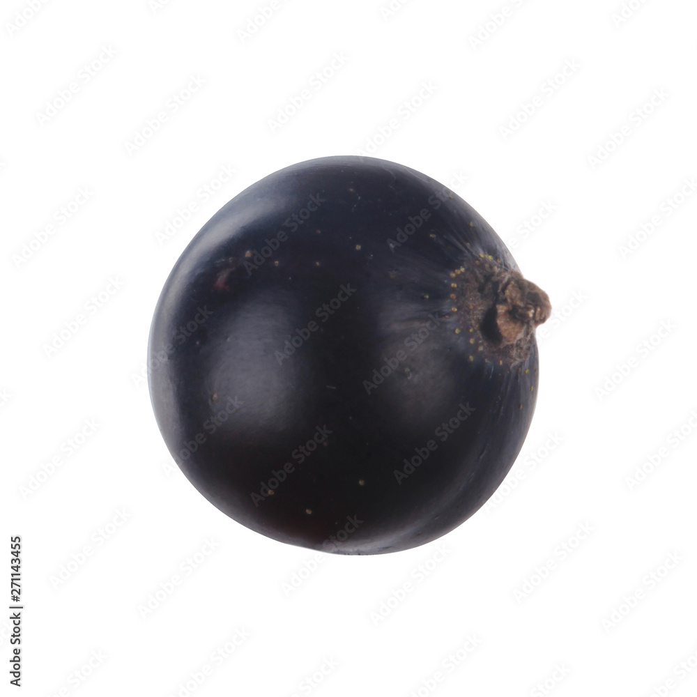 single black currant isolated on white background single black currant isolated on white background