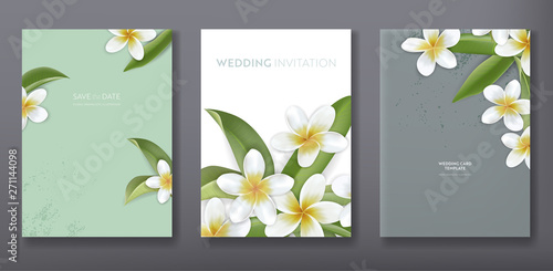 Minimalist floral tropical trendy greeting or wedding invitation card template design, set of poster, flyer, brochure, cover, party advertisement, tropic plumeria flowers in vector