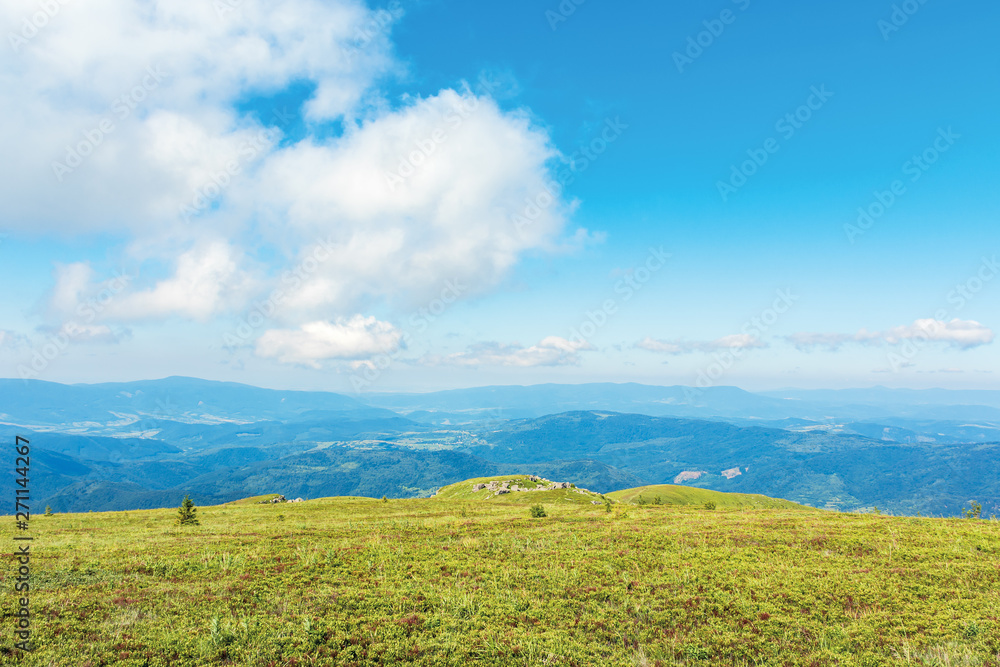 beautiful minimal landscape. fluffy cloud above flat grassy meadow. rocks on the distant hump. mountain ridge in the distance. wonderful summer scenery