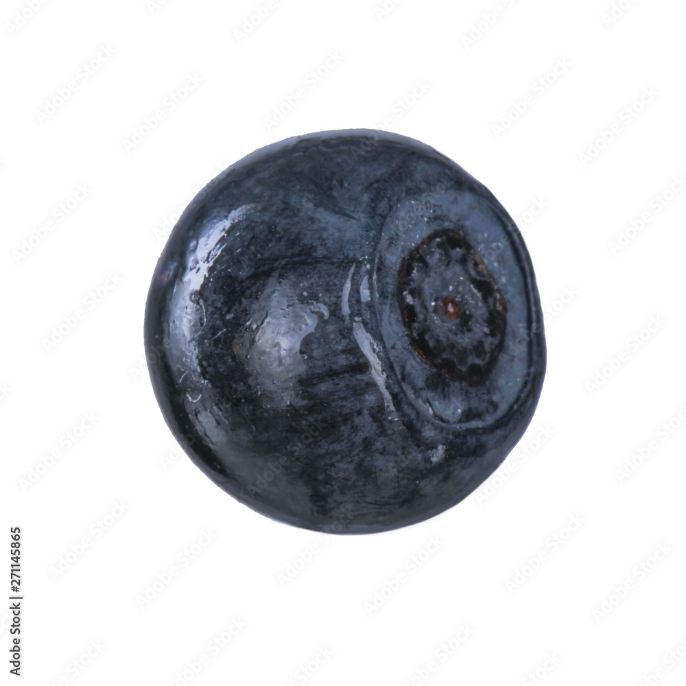 single bilberry isolated on white background single bilberry isolated on white background