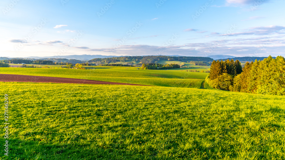Green hilly landscape with Giant Mountains, Czech: Krkonose, on skyline, Czech Republic.
