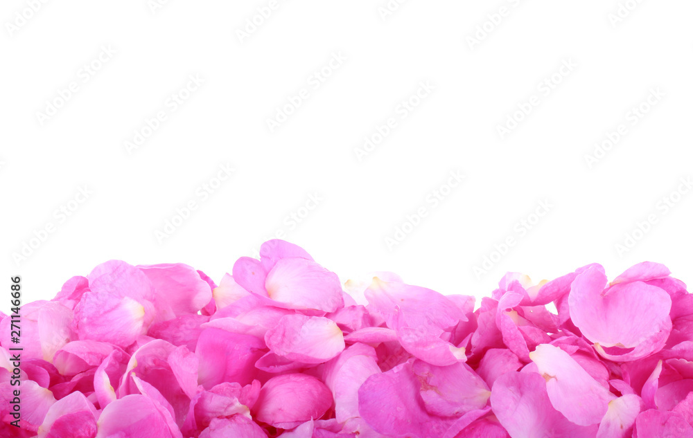 heap of pink rosehips petals isolated on white background