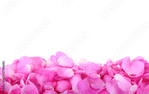 heap of pink rosehips petals isolated on white background