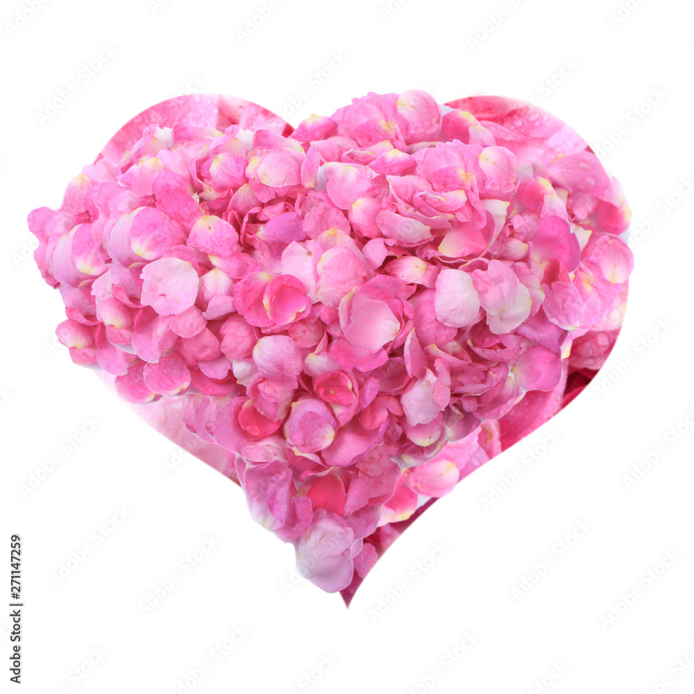 heart of pink rosehips petals isolated on white background heart of pink rosehips petals isolated on white background