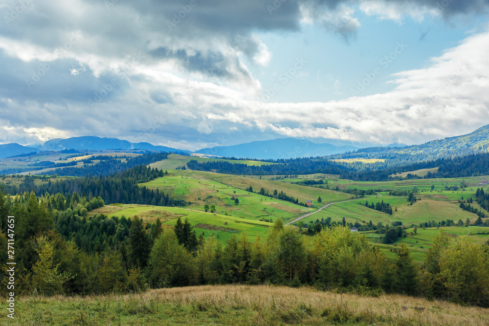Plakat krajobraz wsi w górach. las świerkowy za łąką w zwietrzałej trawie. wiejska dolina w pobliżu grzbietu górskiego. niesamowity cloudscape w wietrzny dzień września
