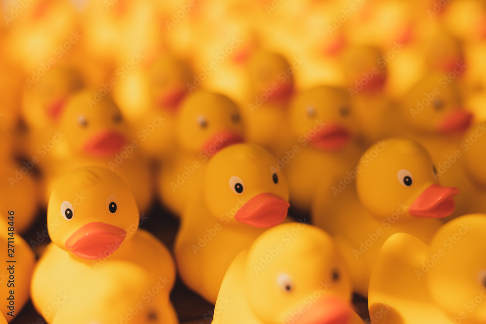 rubber ducks on white background rubber ducks on white background