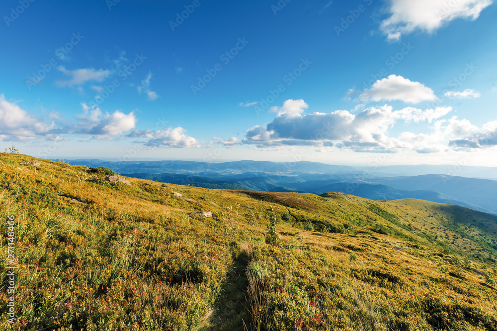 path down the hill in to the valley. beautiful summer scenery with idyllic cloud formations on a blue sky in afternoon. wonderful landscape with rocks on grassy hillsides