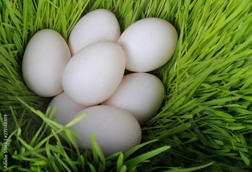 heap of white chicken eggs in green grass heap of white chicken eggs in green grass