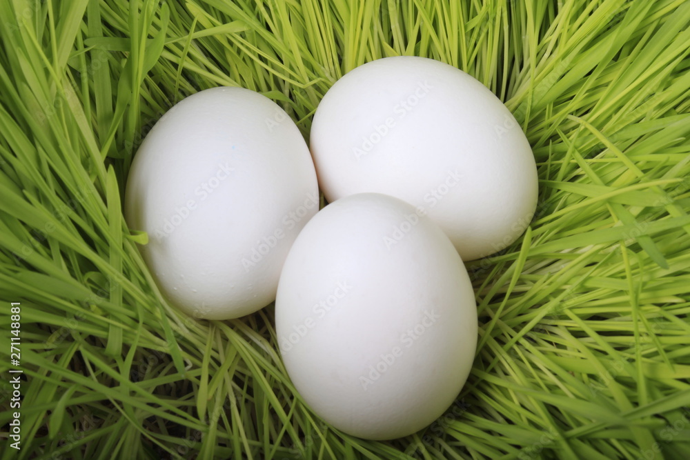 heap of white chicken eggs in green grass heap of white chicken eggs in green grass