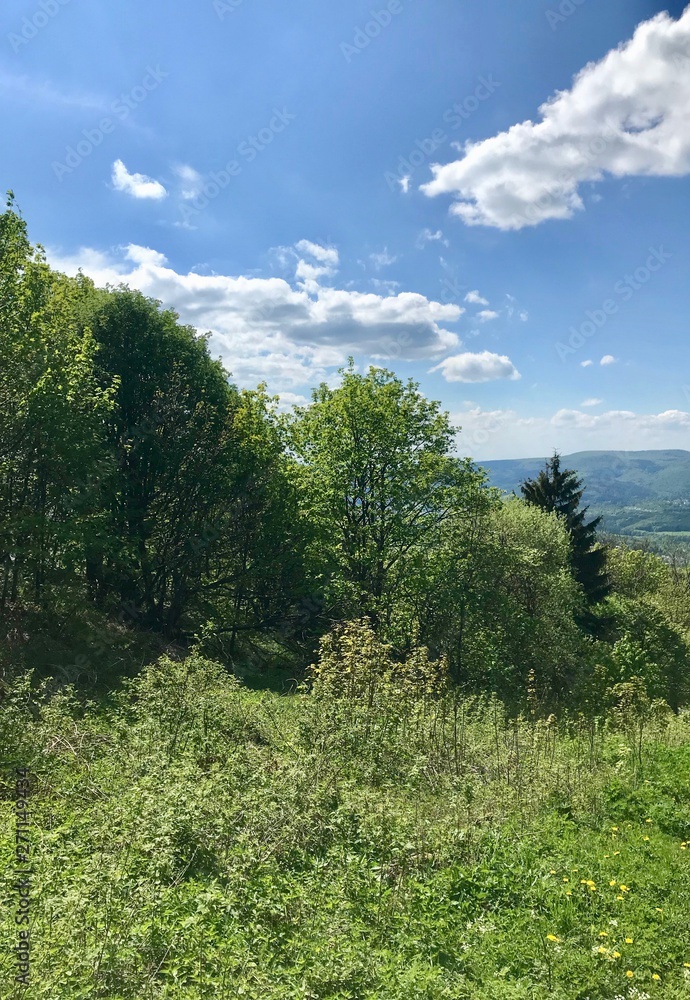 Scenic hike to the Kreuzberg (Calvary) pilgrimage site in Bavaria's Rhön (Rhoen) region (Germany), a sacred mountain with lush grass and a blue sky with white clouds