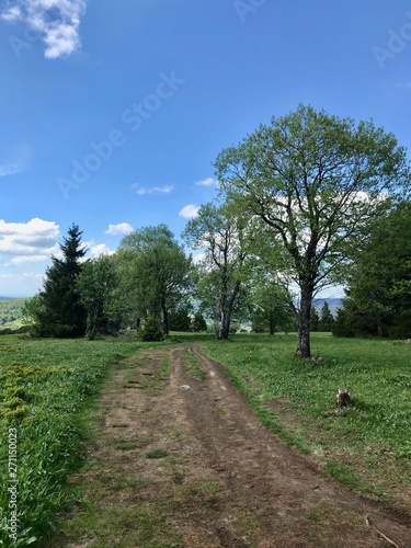 Scenic hike to the Kreuzberg (Calvary) pilgrimage site in Bavaria's Rhön (Rhoen) region (Germany), a sacred mountain with lush grass and a blue sky with white clouds © ICW