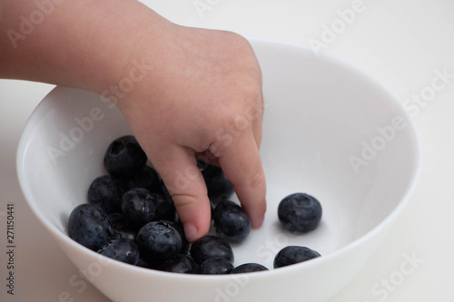 Blueberries in the hands of a child. child's hand takes blueberries from a white bowl on a white background