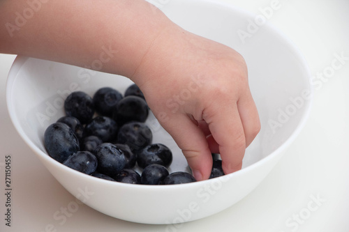 Blueberries in the hands of a child. child's hand takes blueberries from a white bowl on a white background