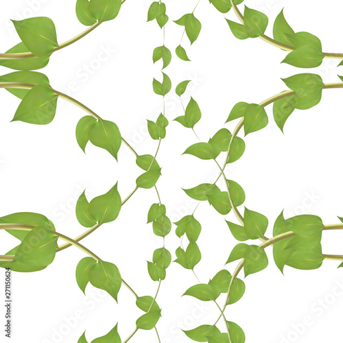 Vector seamless pattern with green ivy leaves on white background.