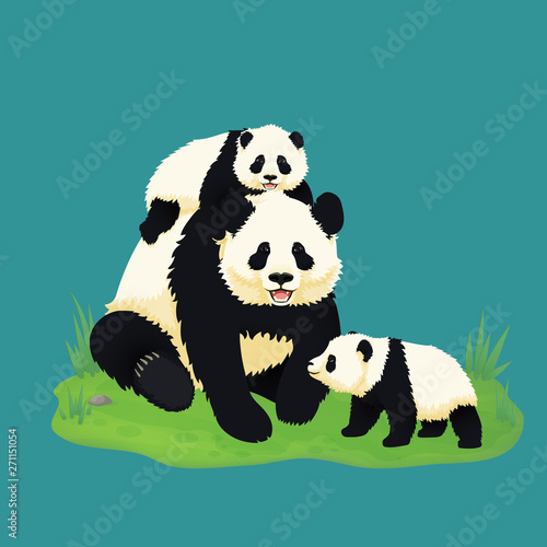 Giant panda family. Smiling adult panda with two baby pandas sitting on the grass. Chinese bears. Mother or father and children. Rare, vulnerable species.