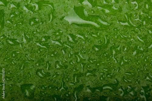 fresh green orchid leaf with water drops background