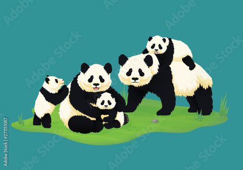 Giant panda family. Two adult pandas with three baby pandas. Chinese bears. Mother, father and children. Rare, vulnerable species.
