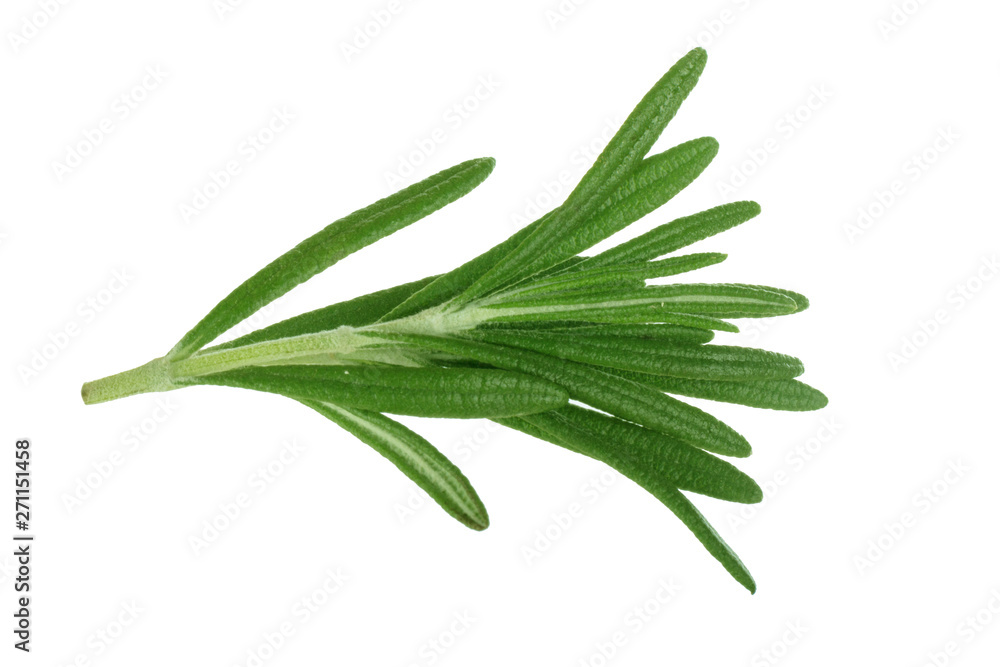 Fototapeta premium leaves of rosemary isolated on white bakcground