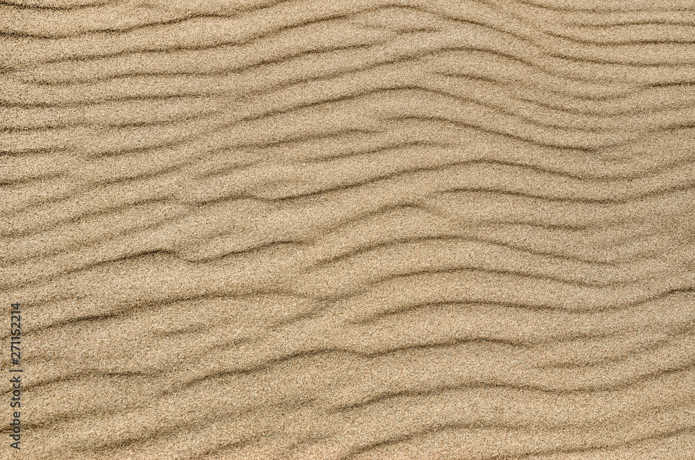 Sand ripple texture. Sandy background. Sand close-up. Sand ripple texture. Sandy background. Sand close-up.