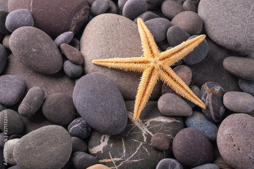 Starfish on pebbles summer texture background angle view close up Starfish on pebbles summer texture background angle view close up