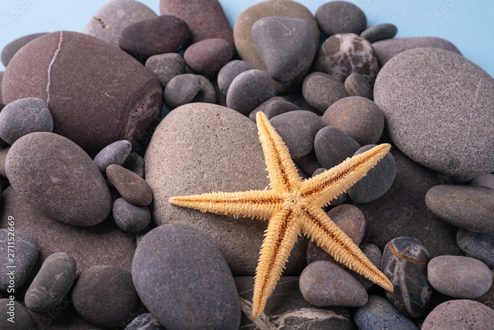 Starfish on pebbles summer texture angle view close up blue background Starfish on pebbles summer texture angle view close up blue background