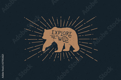 Hand drawn bear with an inscription explore the wild nature in the rays of light. Vintage label on the theme of the study of wildlife. Monochrome style. Vector illustration on dark background.